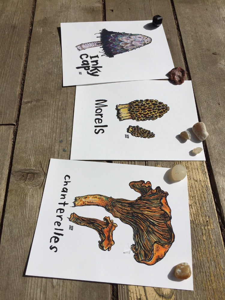 Three colorful drawings of mushrooms, held down on a picnic table with beach rocks.
