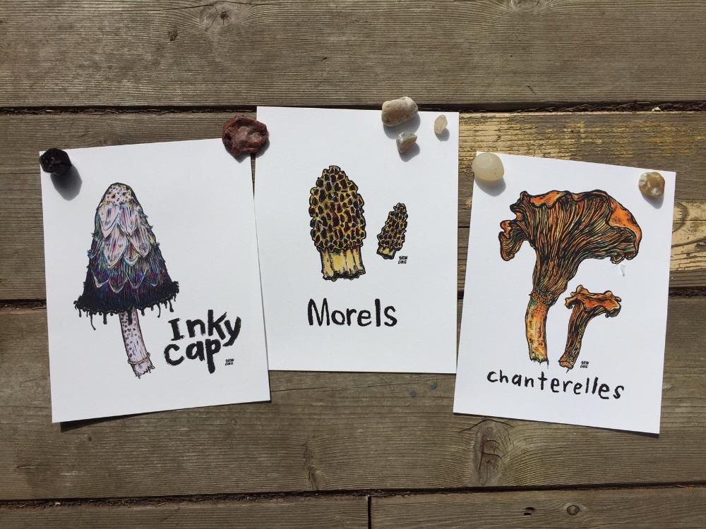 Three different colorful prints of mushrooms (chanterelles, morels, and an inky cap) held down on a picnic table with beach rocks.