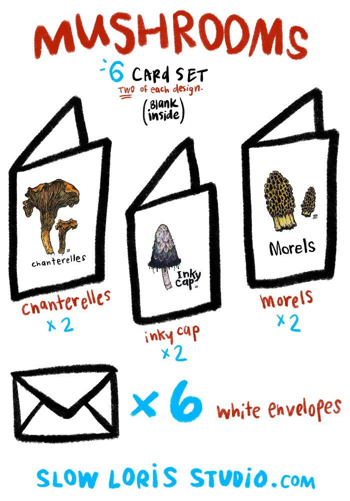 A drawing showing that you receive two of each mushroom greeting cards, plus envelopes, in our set of six.