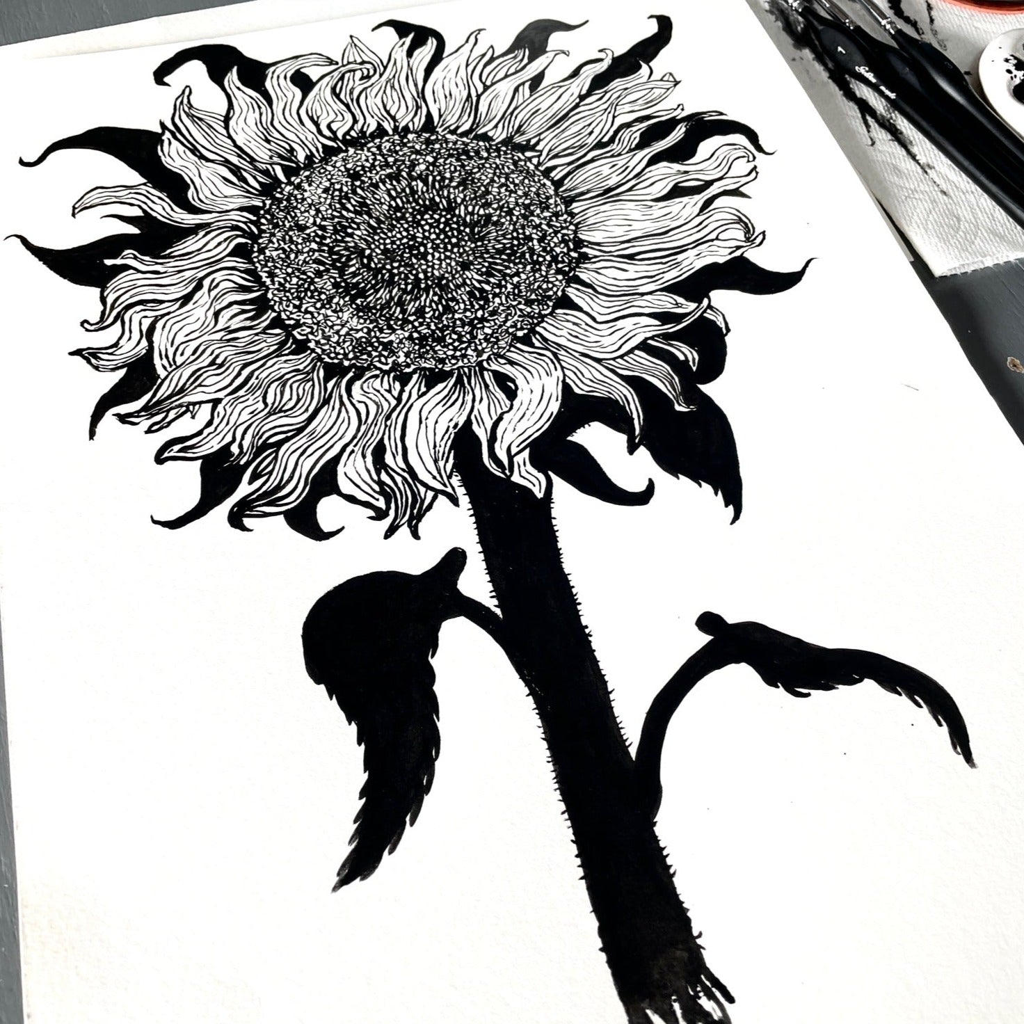 The original art for our sunflower t shirt design - a large, uprooted sunflower.