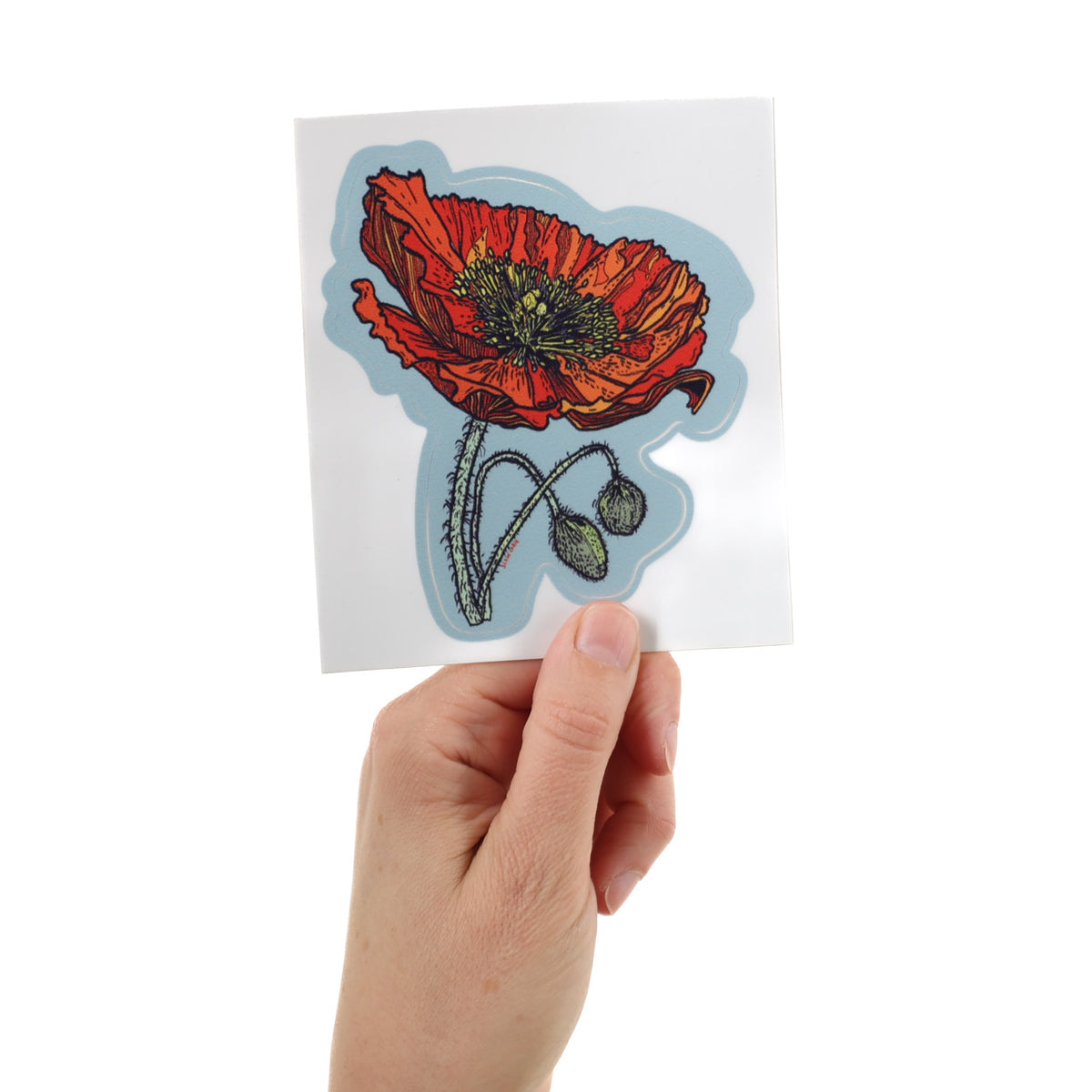 Poppy Sticker – Slow Loris