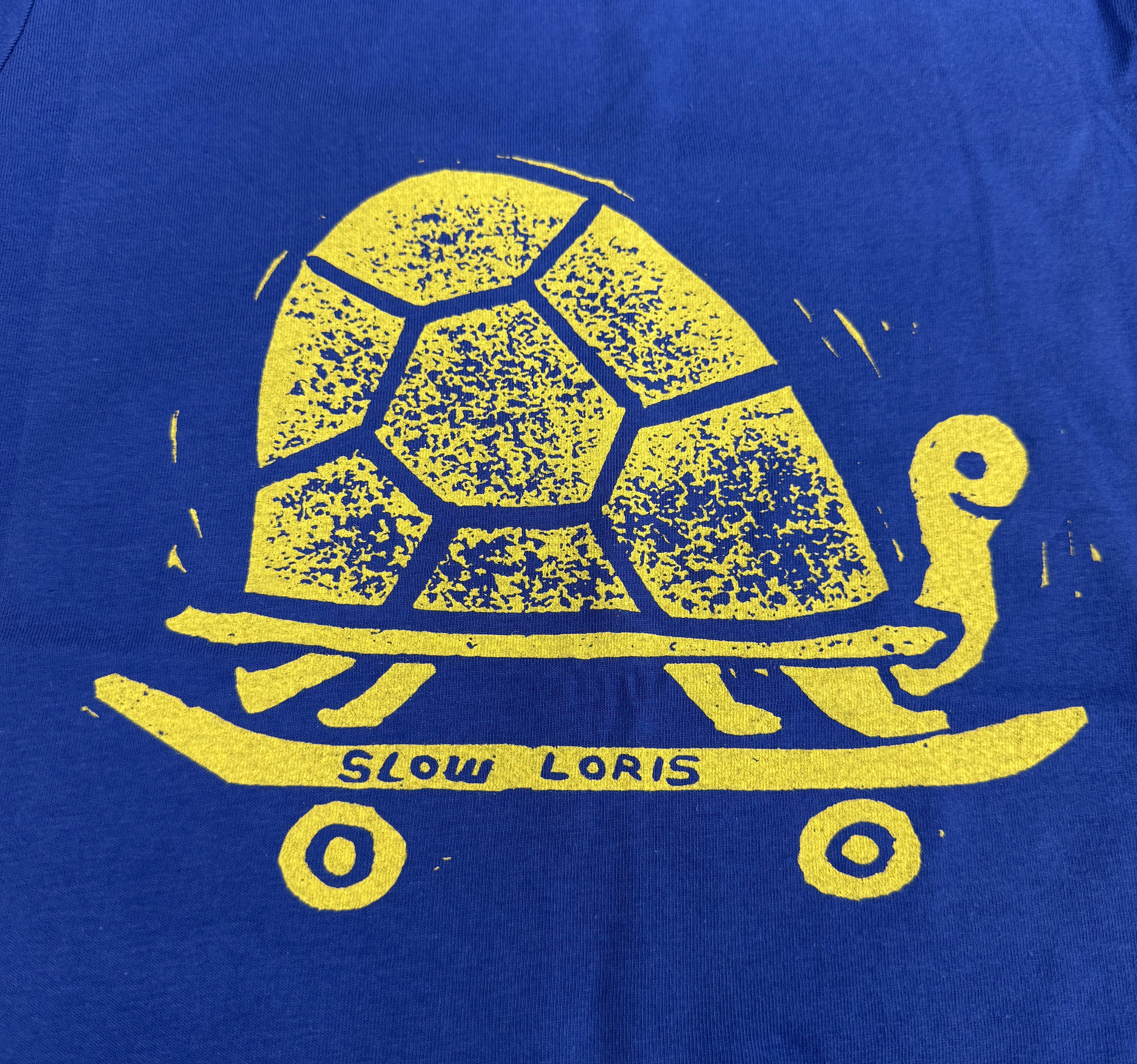 Kids Skateboarding Turtle T Shirt