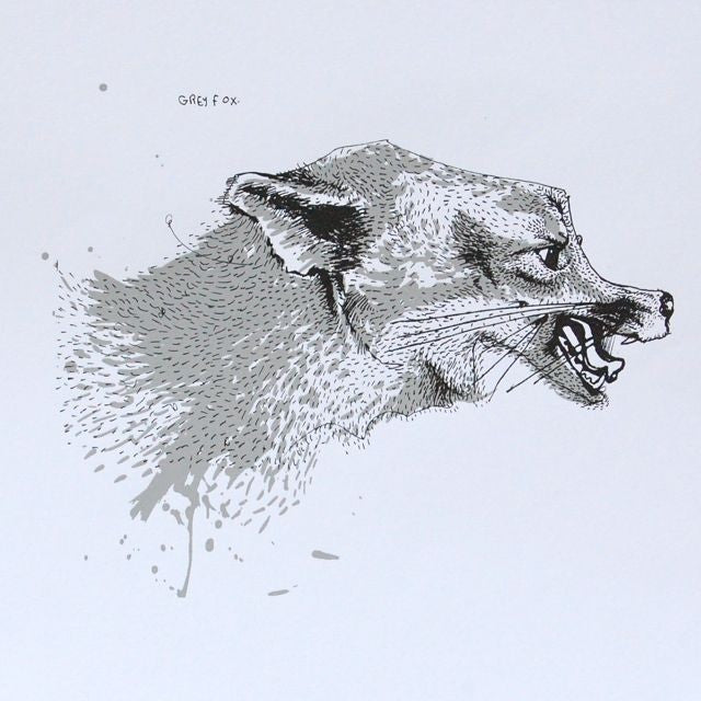Grey Fox (White or Brown) Art Print