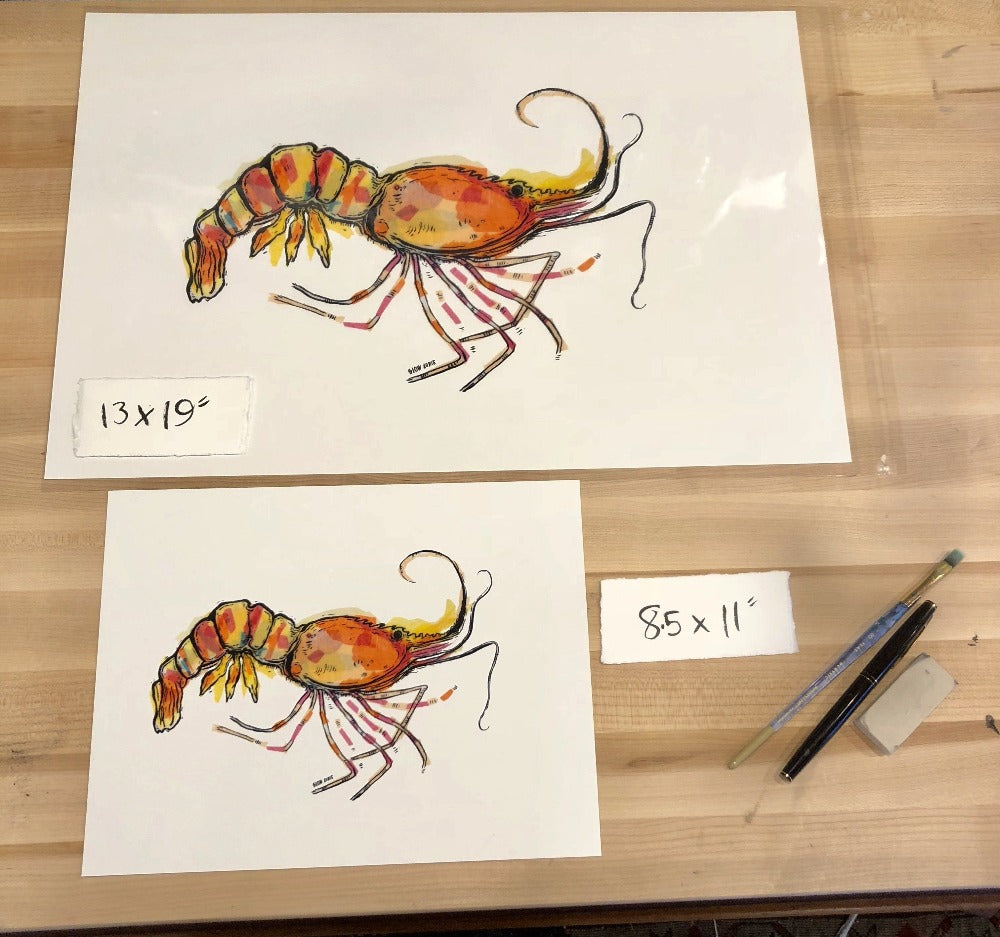 Shrimp Art Print