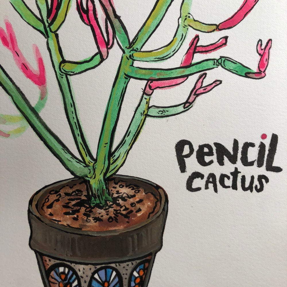 watercolor pencil cactus Original Painting, Pencil Cactus