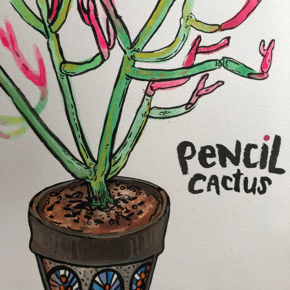 Original Painting, Pencil Cactus