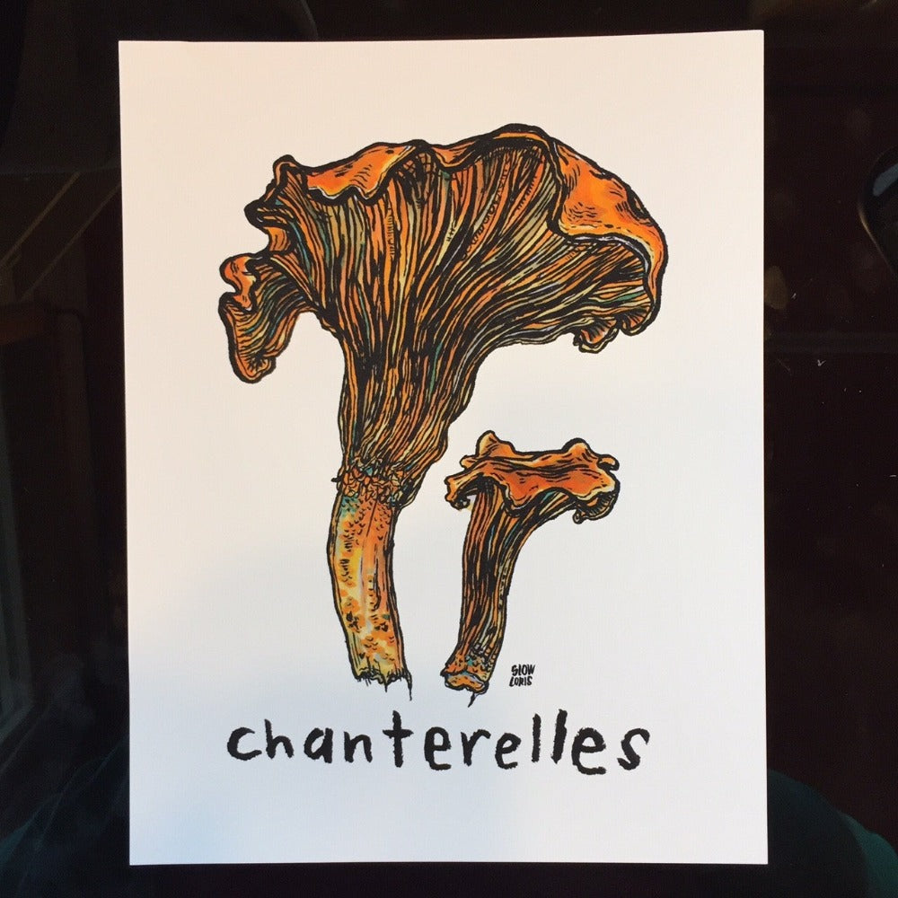 A colorful art print of two chanterelle mushrooms and the word "chanterelle"" painted in black underneath.