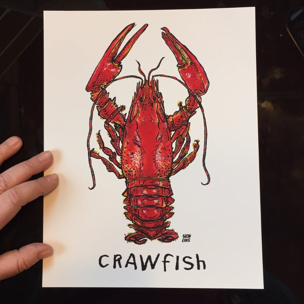 Art print of a red crawfish on a white background with the word "crawfish" painted underneath. A hand is in the photo for size reference.