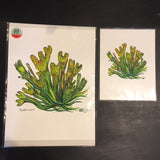 Large and small art prints  of bladderwrack seaweed.
