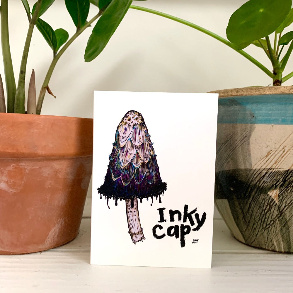 A greeting card printed with a painting of an inky cap mushroom and the words Inky Cap in hand-lettering. The card is propped up between two plants on a table.