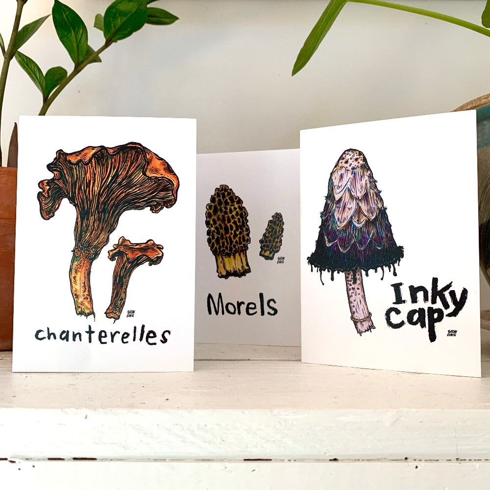 Three greeting cards, one printed with Chanterelle mushrooms, one printed with Morel mushrooms, and one printed with an Inky Cap mushroom.