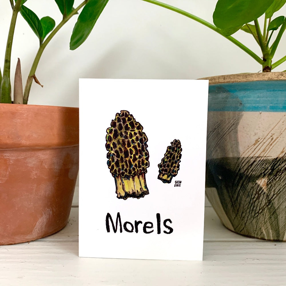 A greeting card printed with a painting of morel mushrooms and the word "morels" in hand-lettering below. The card sits on a table between two plants.