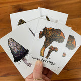 Set of six mushroom-themed greeting cards, fanned out in a hand like playing cards.