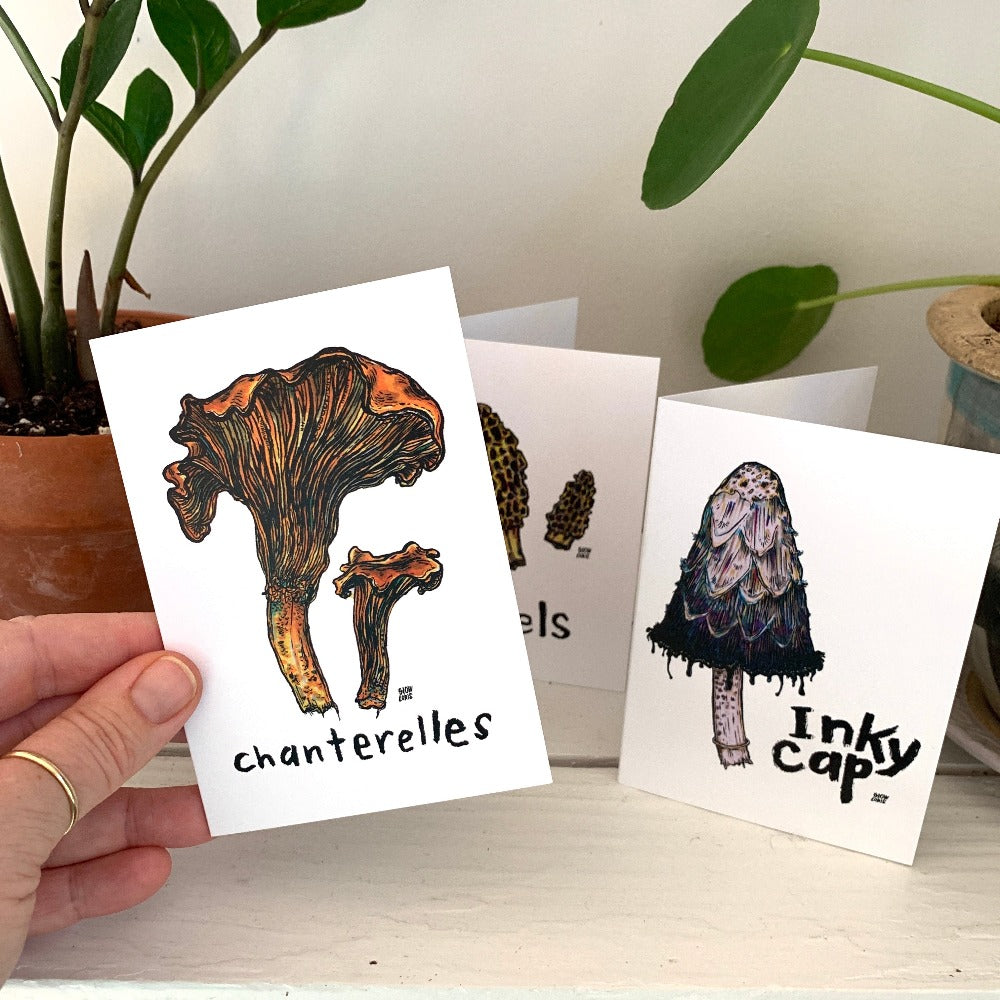 A hand holding our Chanterelle greeting card, in front a Morel mushrooms card and an Inky Cap card - the three designs in our set of six mushroom greeting cards.