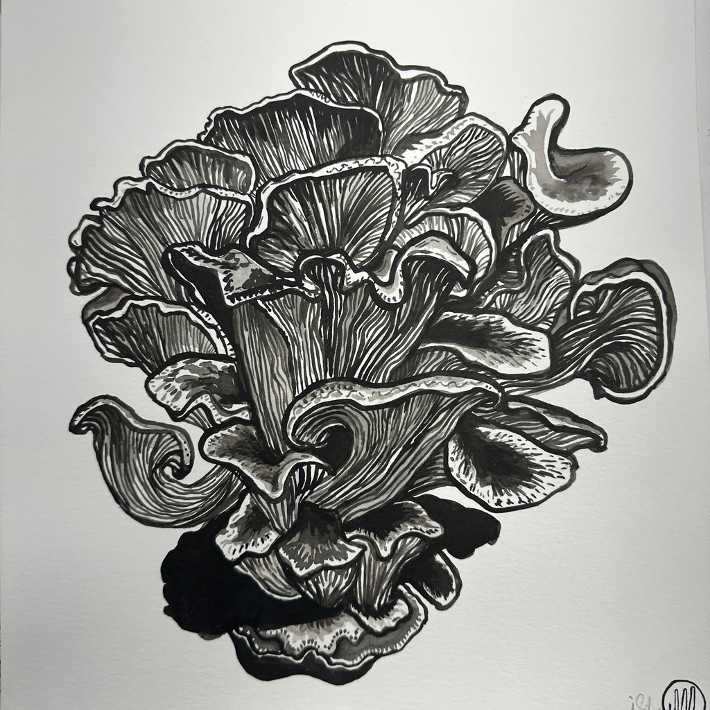 Oyster mushrooms ink painting