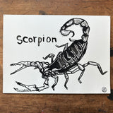 Scorpion ink drawing
