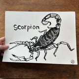 Scorpion ink drawing