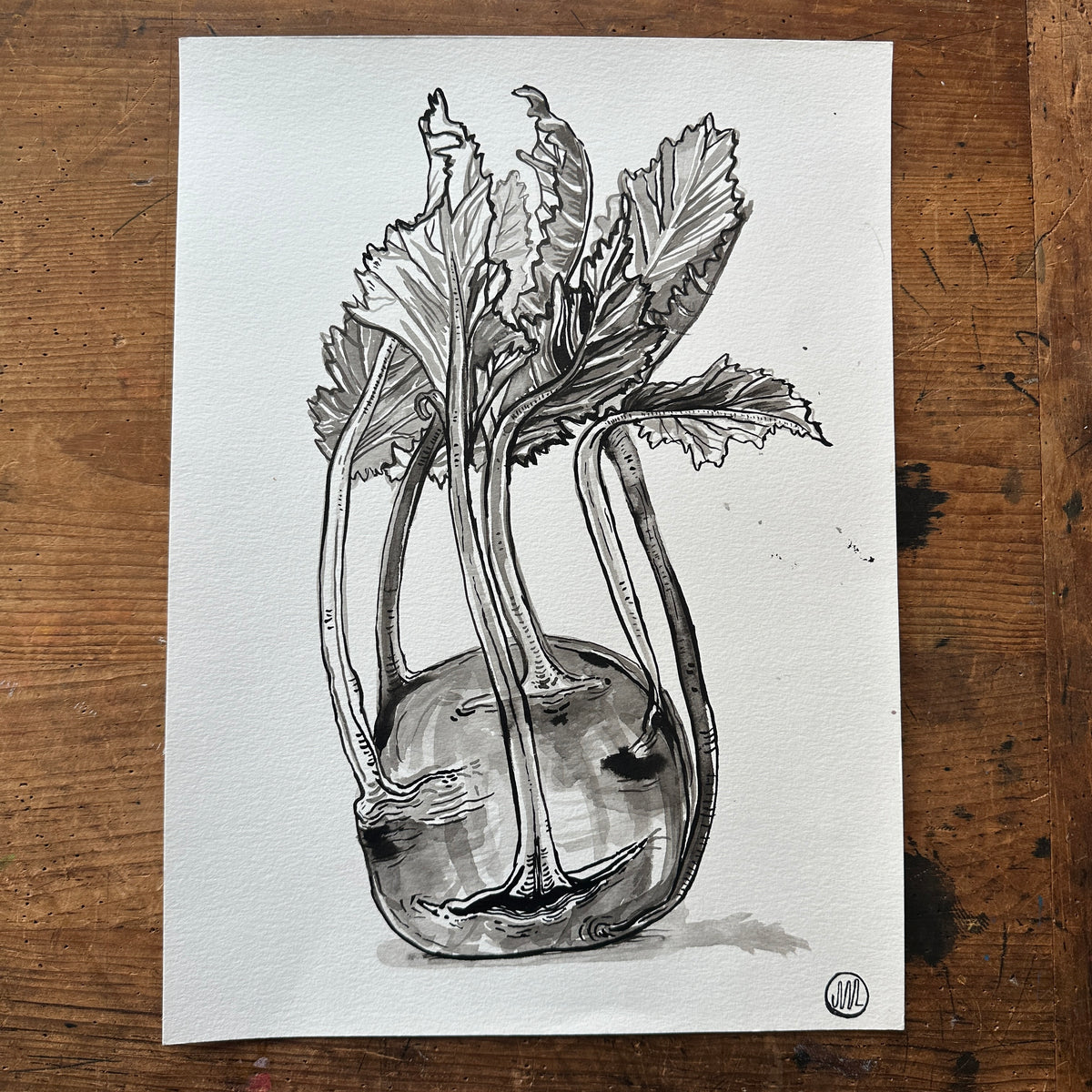 Kohlrabi ink painting – Slow Loris