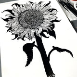 The original art for our sunflower t shirt design -  a large, uprooted sunflower.